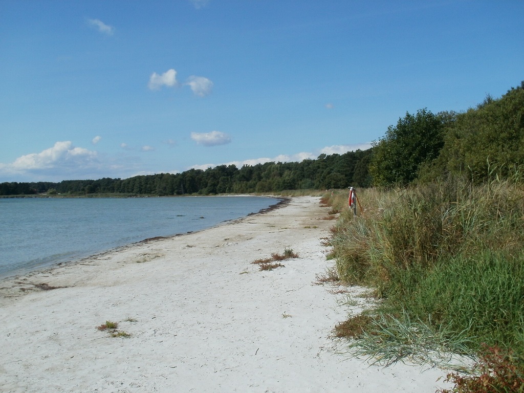 Fyndplats för <i>Philhygra ripicola</i>, Västra Torsö, 26 augusti 2013