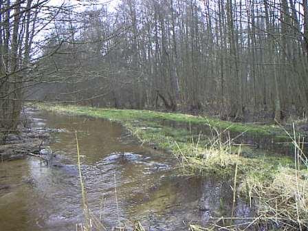 Egeside tr&auml;sk